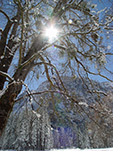 Here comes the Sun
