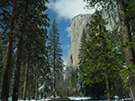 The Rock