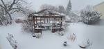 Winter Wonderland